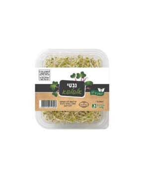 נבטי אלפלפא