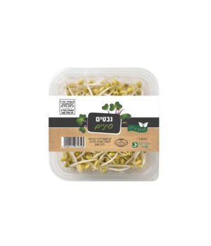 נבטי סיניים
