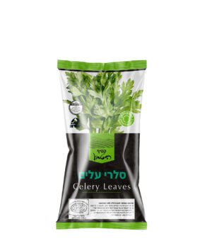 סלרי