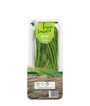 עירית